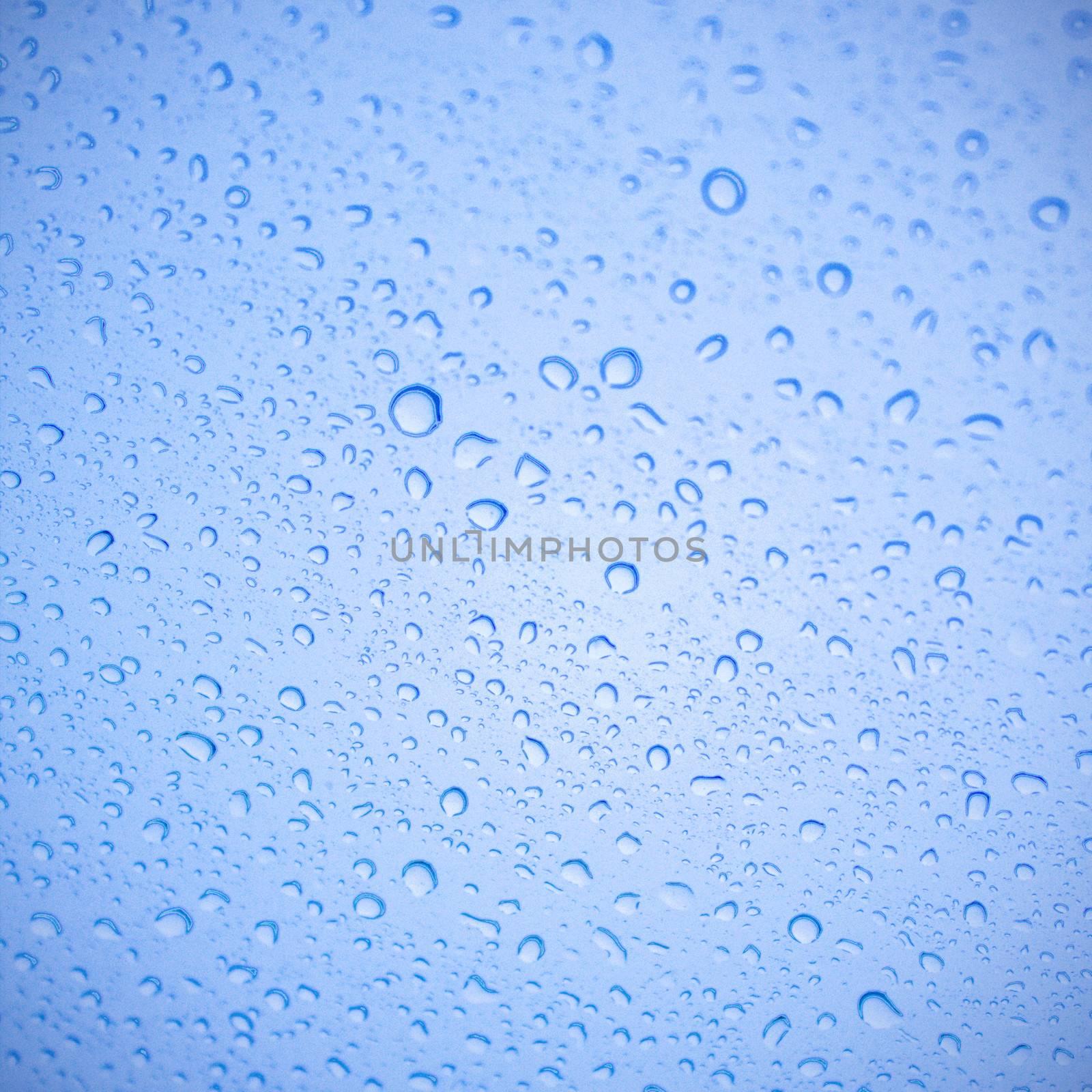 Water drop on the glass