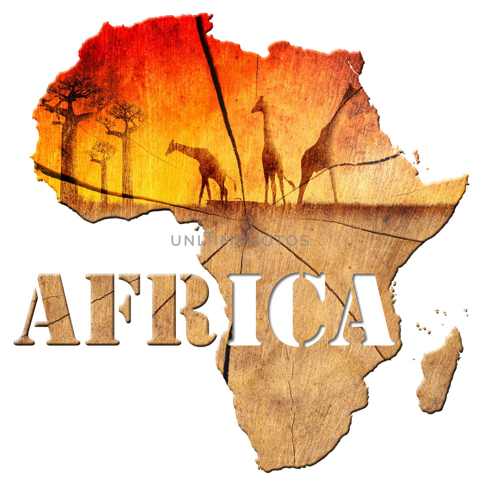 Africa map with wood texture and colorful landscape of fantasy, with baobab trees and giraffes