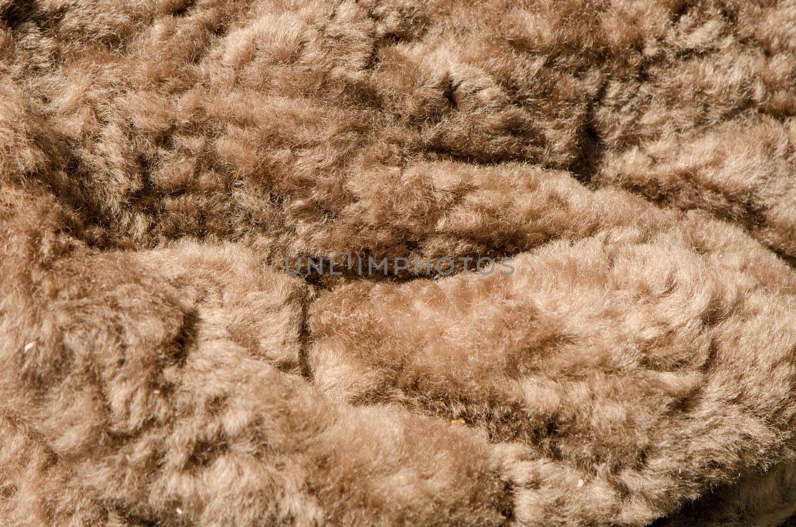 artificial fur hide fell imitation grey color background.