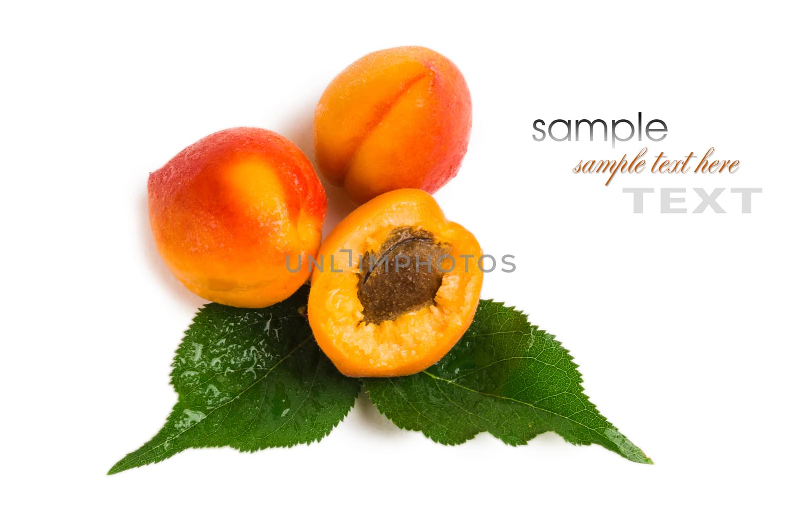 Sweet bright apricots with leaves on a white background by oleg_zhukov