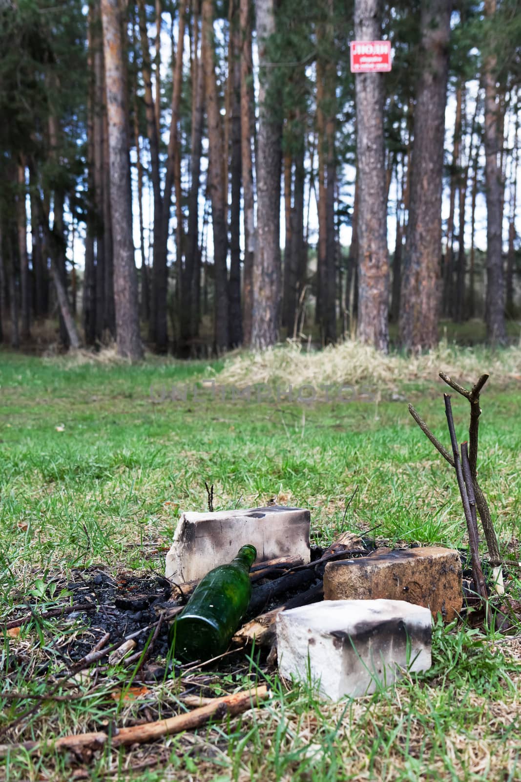 debris and extinguished bonfire in a clearing in the woods