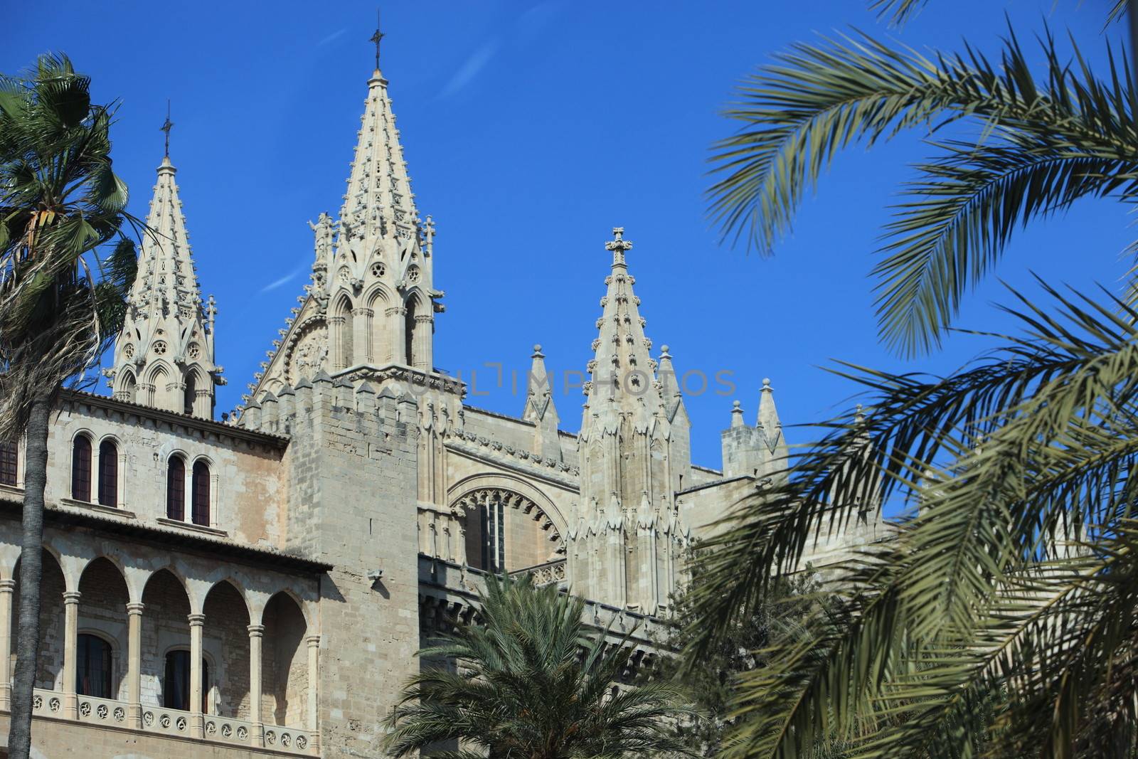 View between tropical palm trees of the exterior of the landmark building La Seu Cathedral in Mallorca, Balearic Islands, Spain