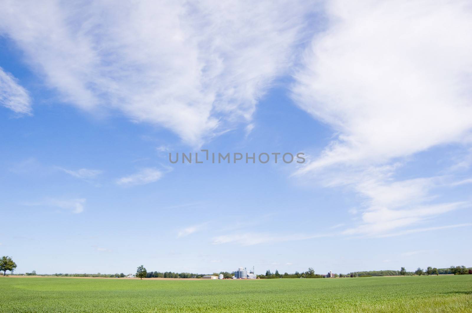 Agriculture farm under high blue sky