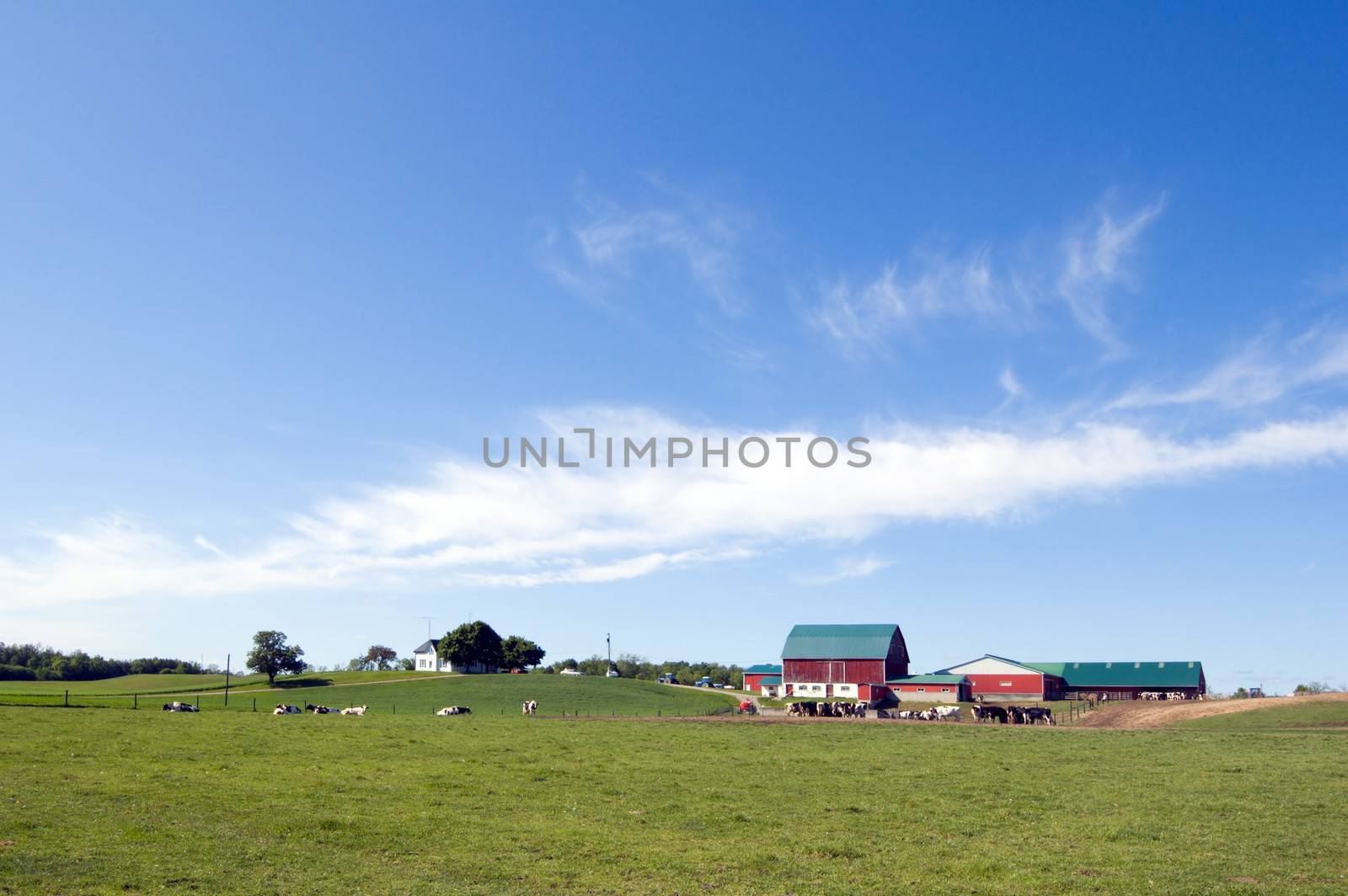 Agriculture farm by PavelS