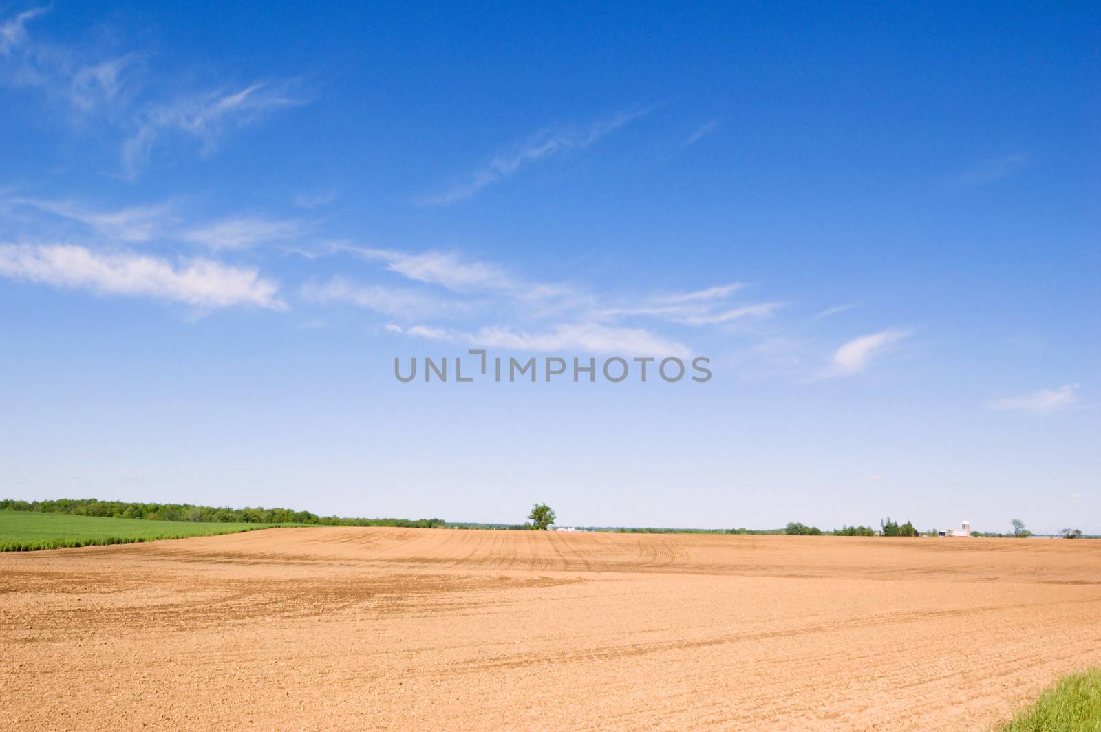 Agriculture farm under high blue sky