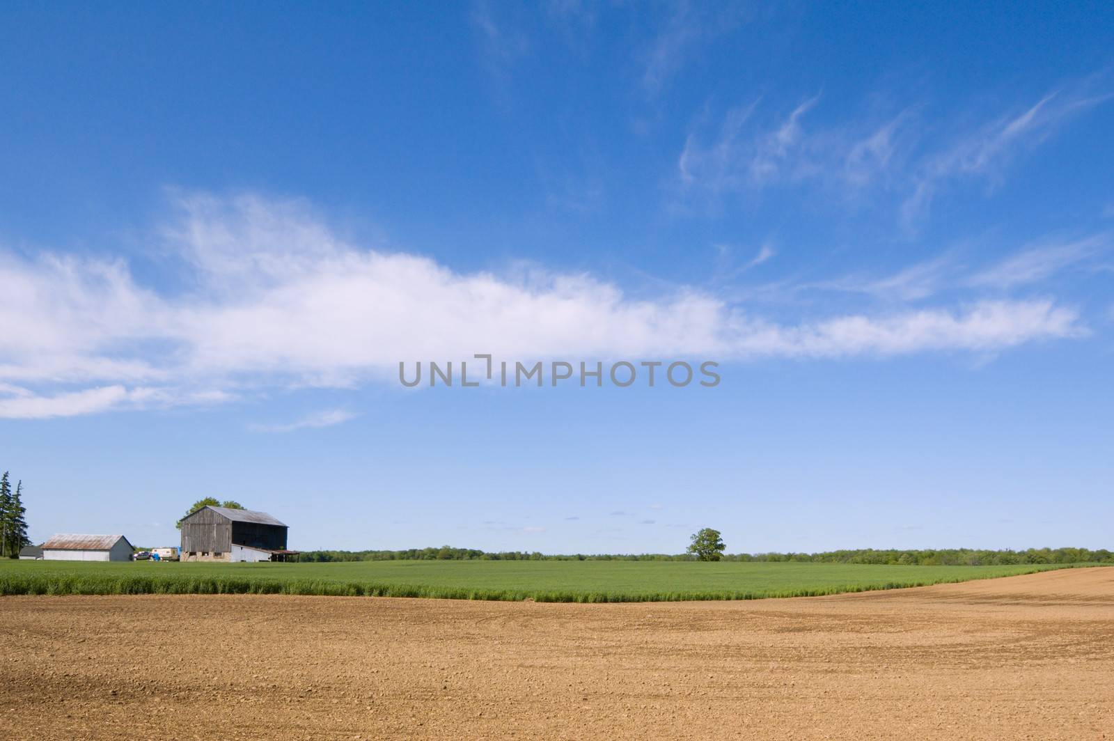 Agriculture farm by PavelS