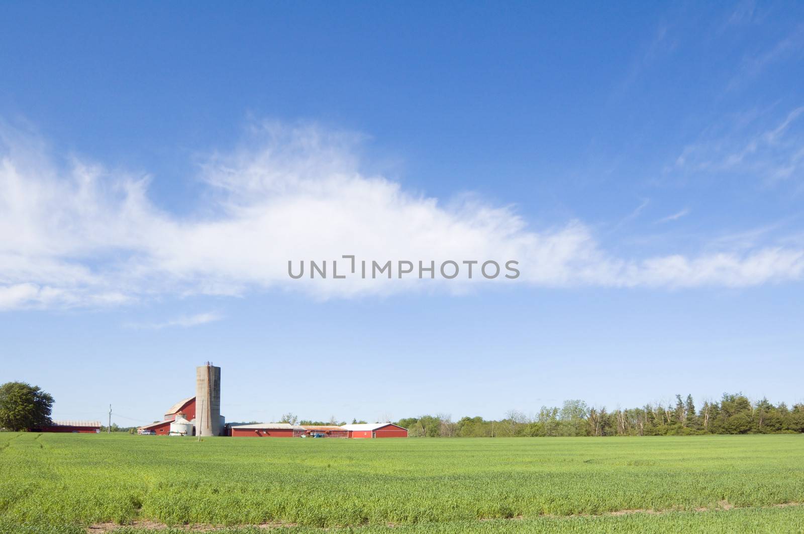 Agriculture farm by PavelS