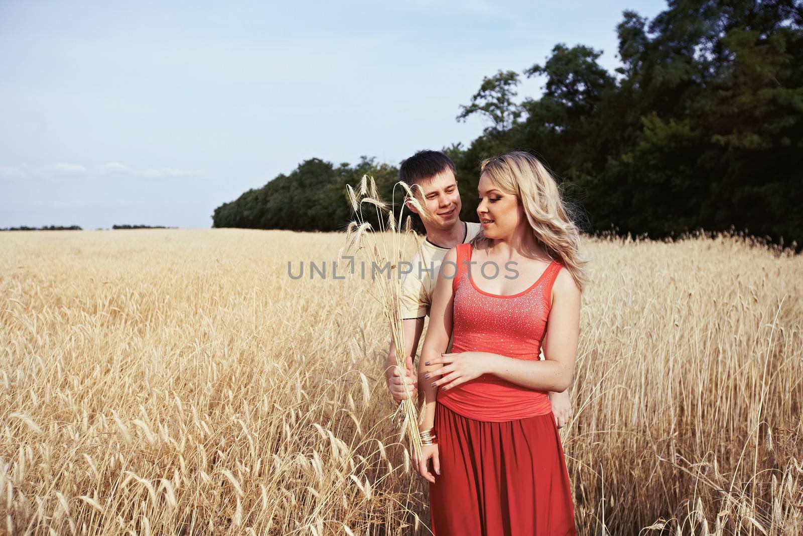 Man giving a bouquet of ears girl in a wheat field