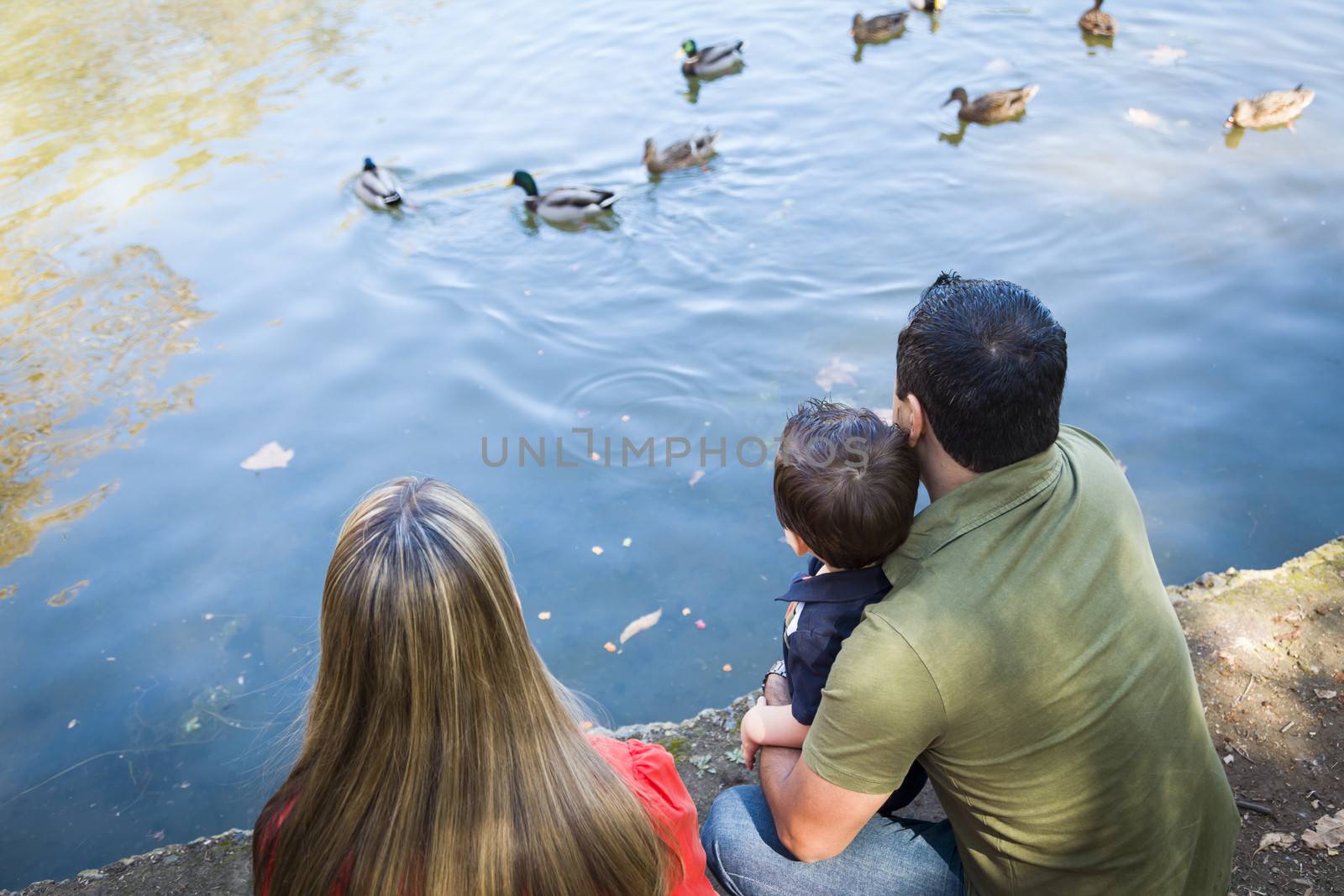 Mixed Race Mother and Father with Son at the Park Duck Pond.