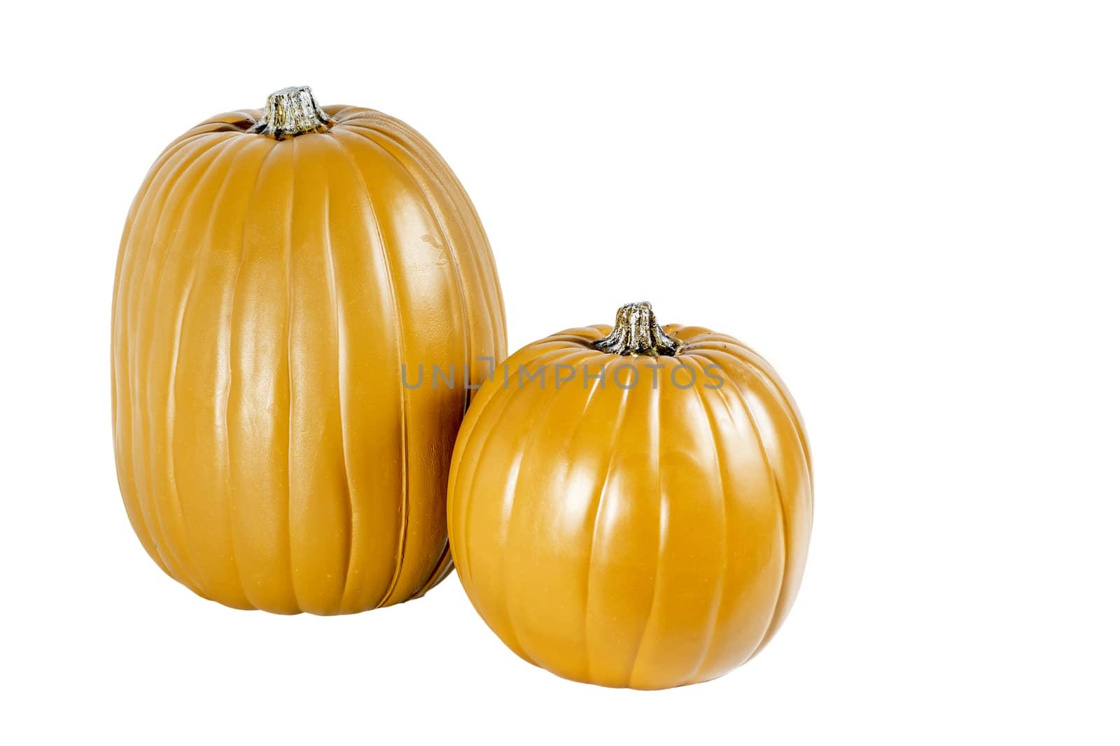 Two isolated pumpkins sitting side by side on a white background.