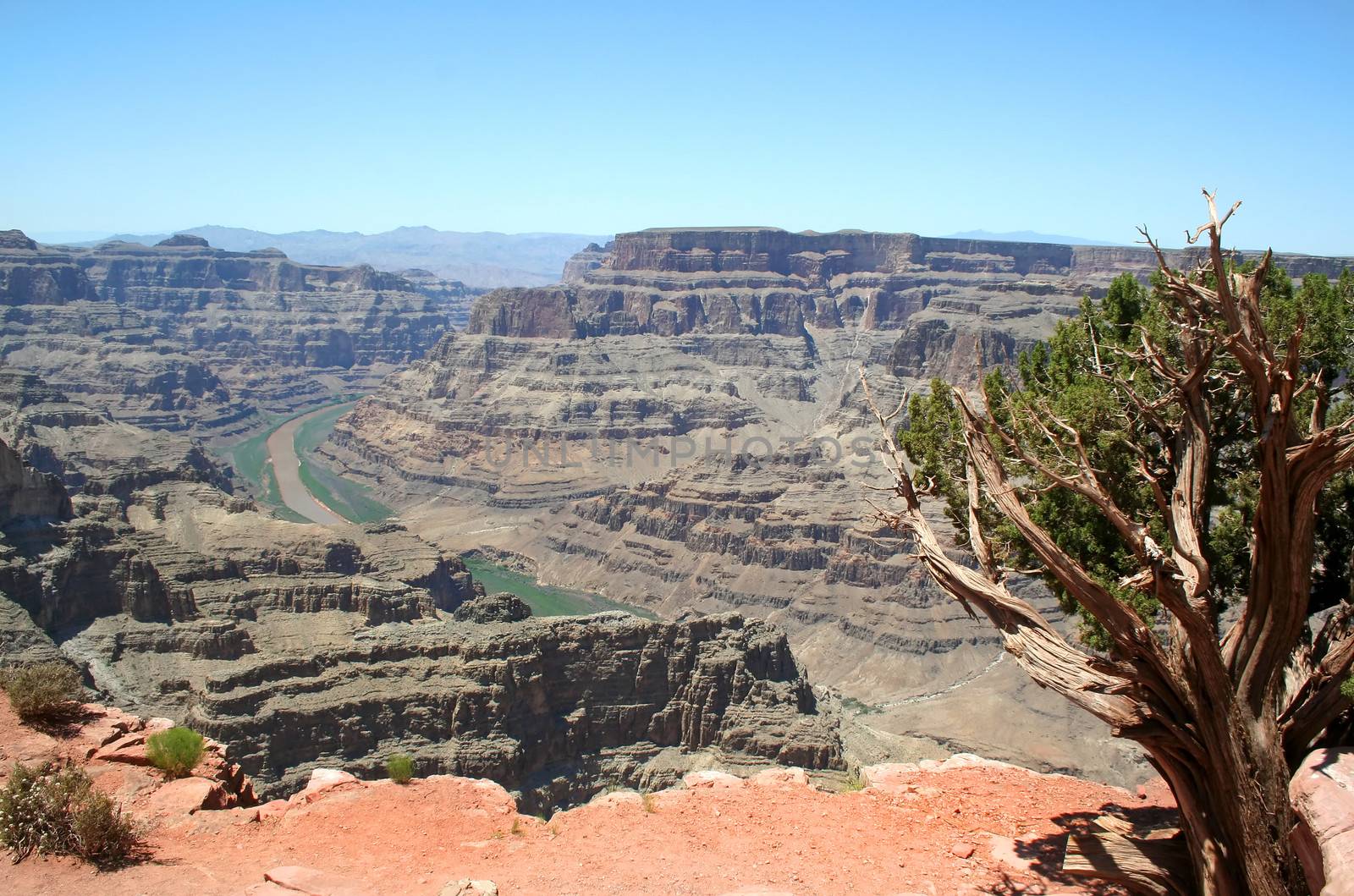 The view from Guano Point on the Grand Canyon West Rim overlooking the Colorado River.