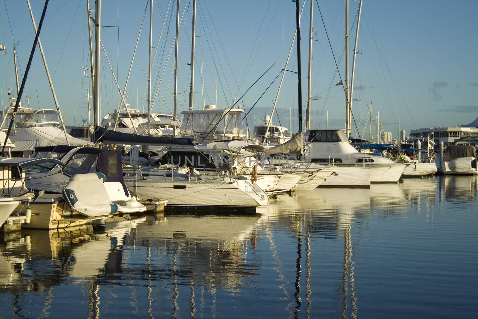 Boats and yachts lined up at the marina in the early morning golden light.