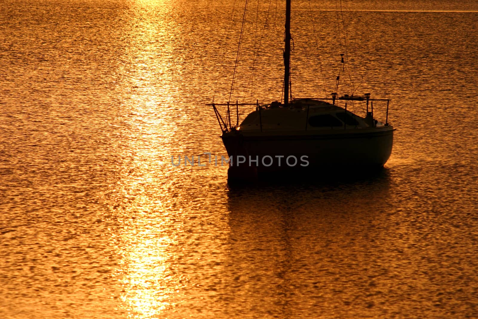 Daybreak with golden light spilling over the water. 