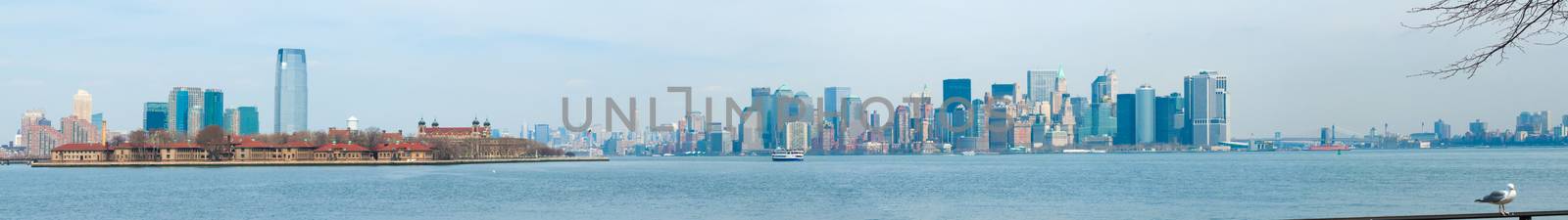 view of New York City from Liberty Island