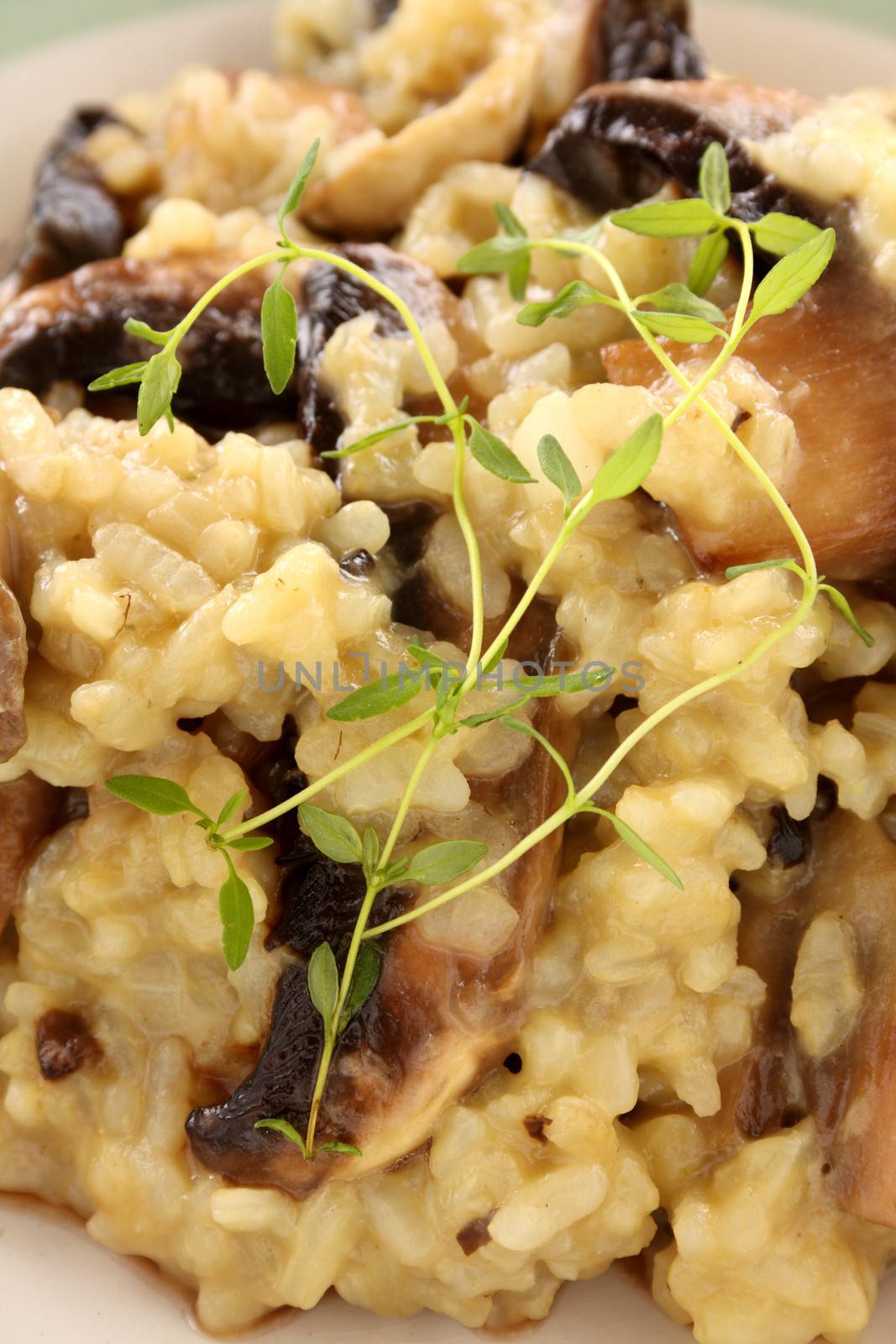 Delicious mushroom risotto served with fresh thyme.