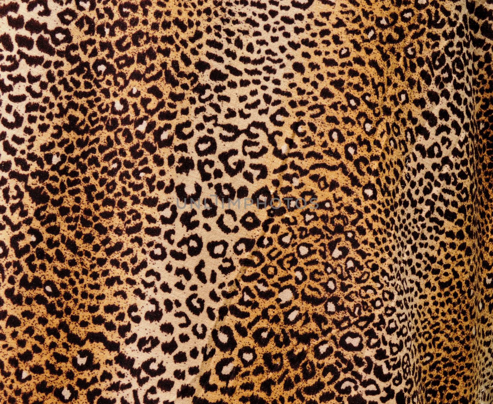 Leopard background