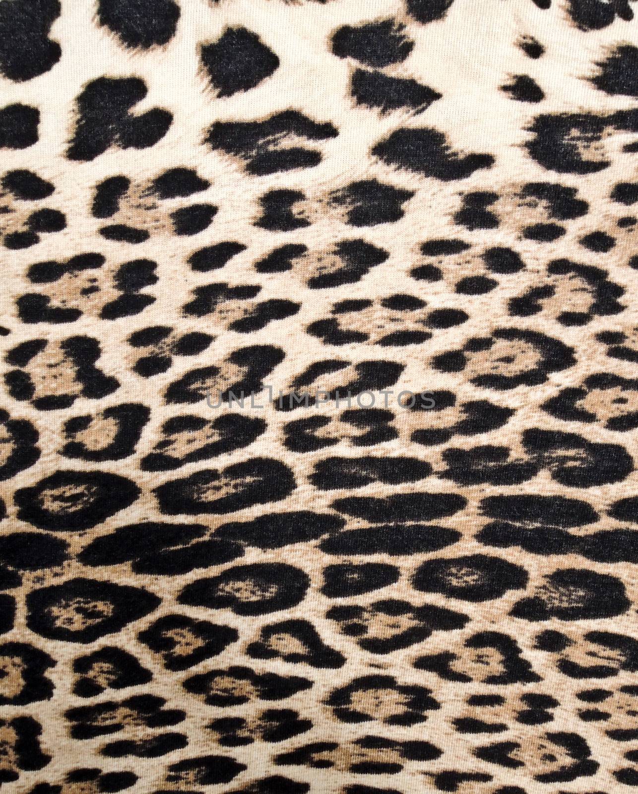 Leopard texture 