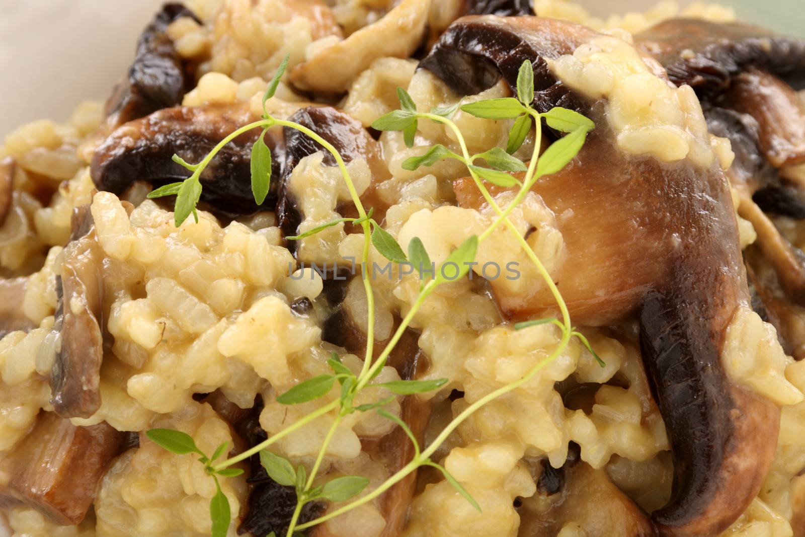 Delicious mushroom risotto served with fresh thyme.