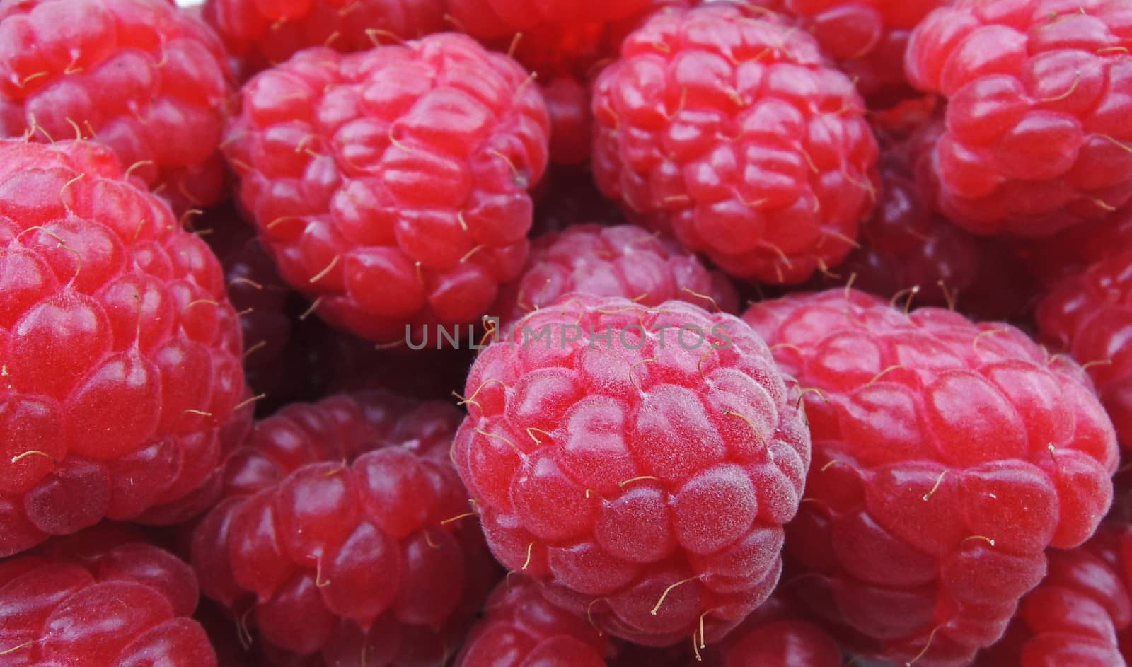 raspberries background by MalyDesigner