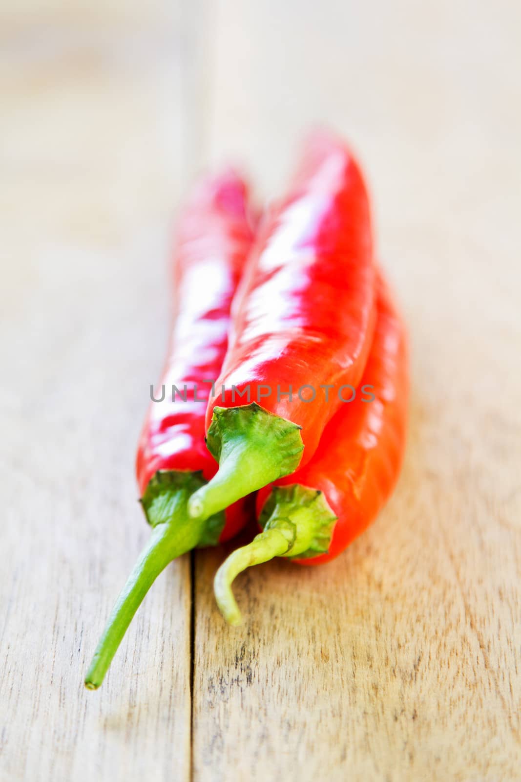 Thai red Chili