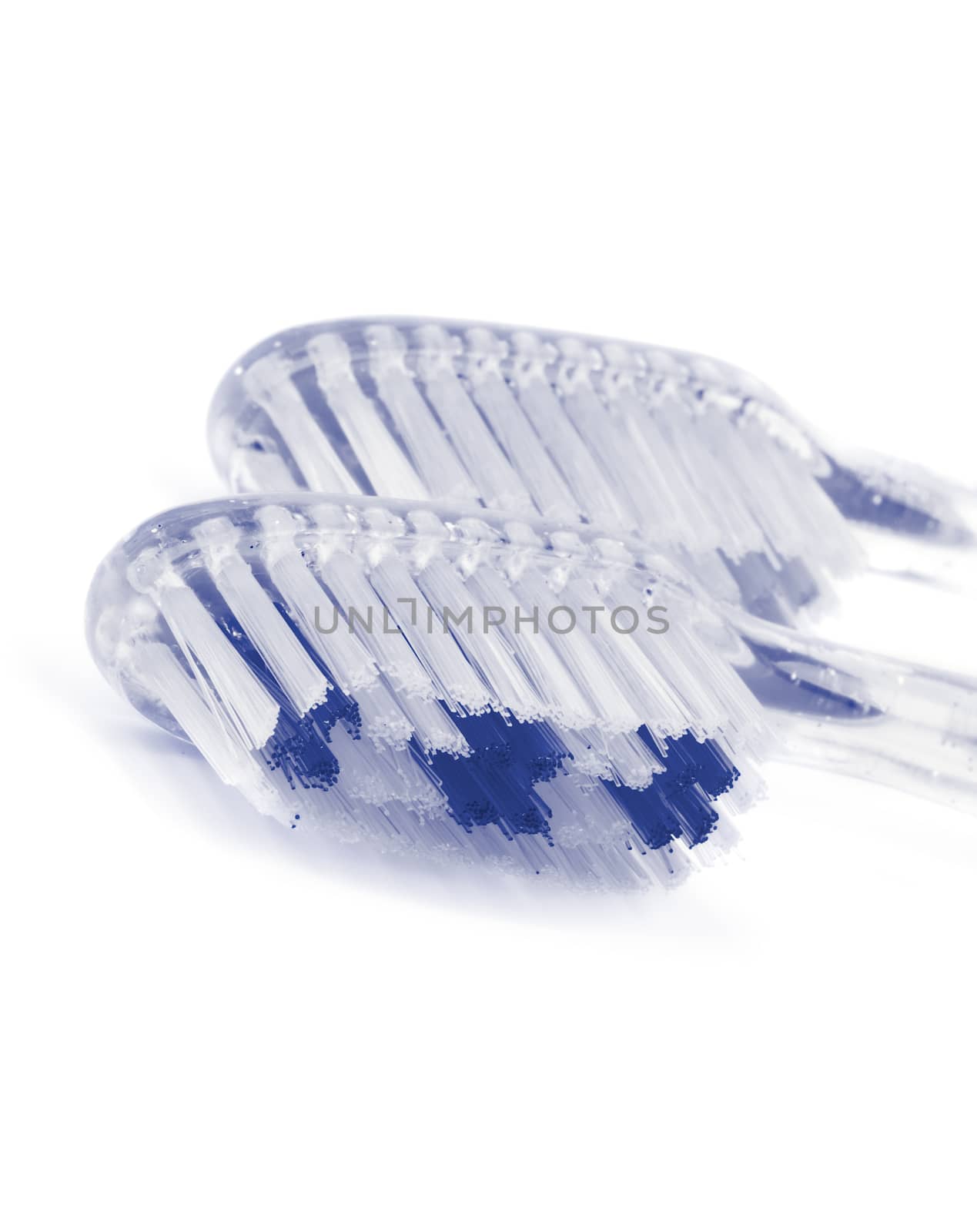 Two Transparent Toothbrushes isolated on white background. Monochrome Purple View