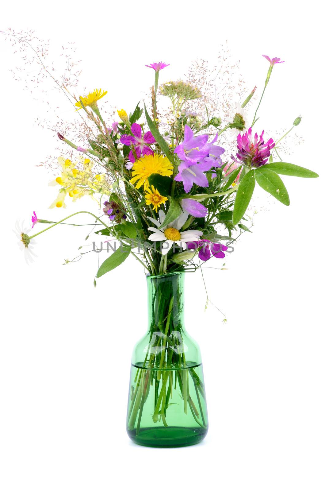 Bouquet of Wildflowers and Various Grass in Green Little Bottle isolated on white background
