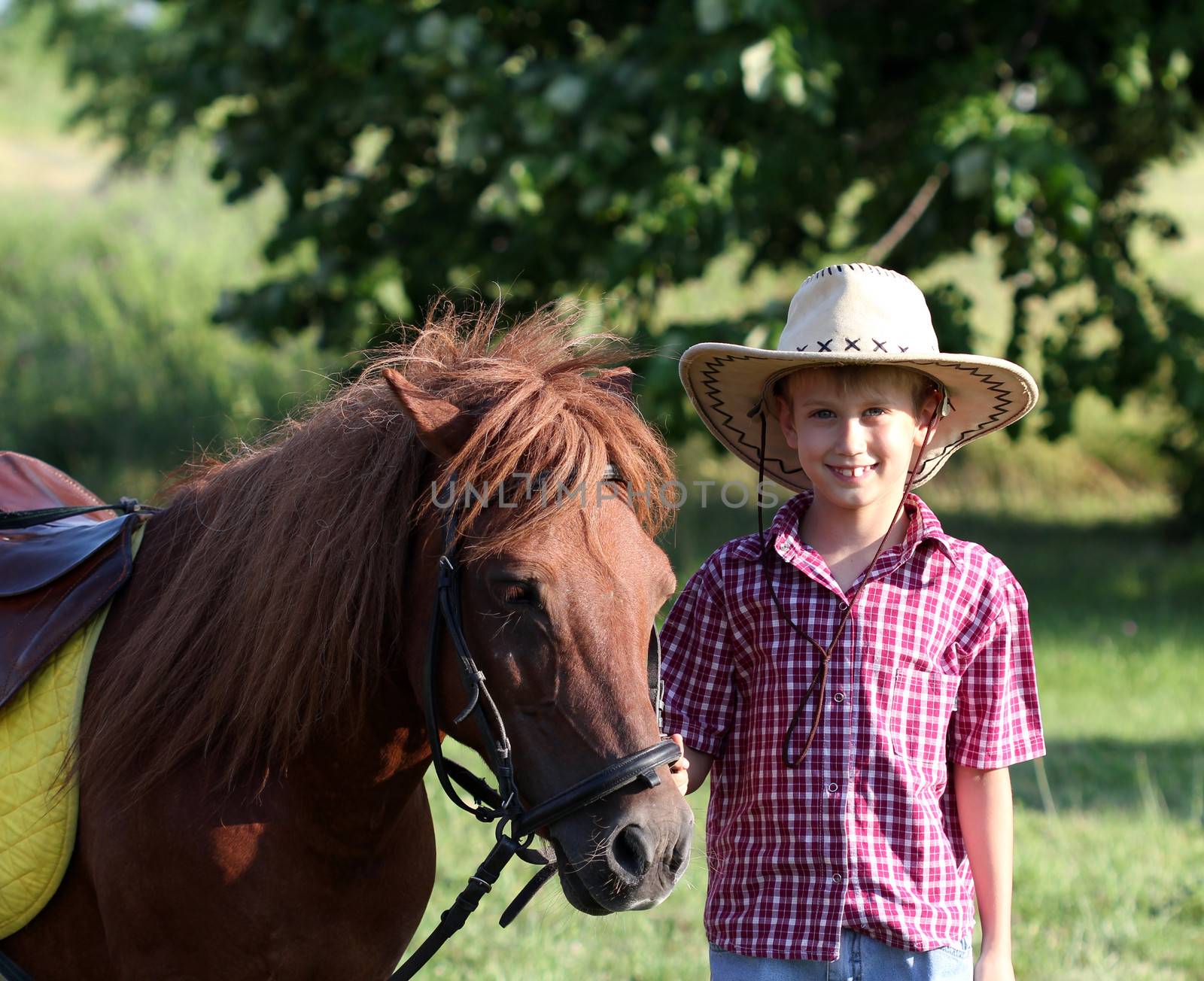 boy with cowboy hat and pony horse  by goce
