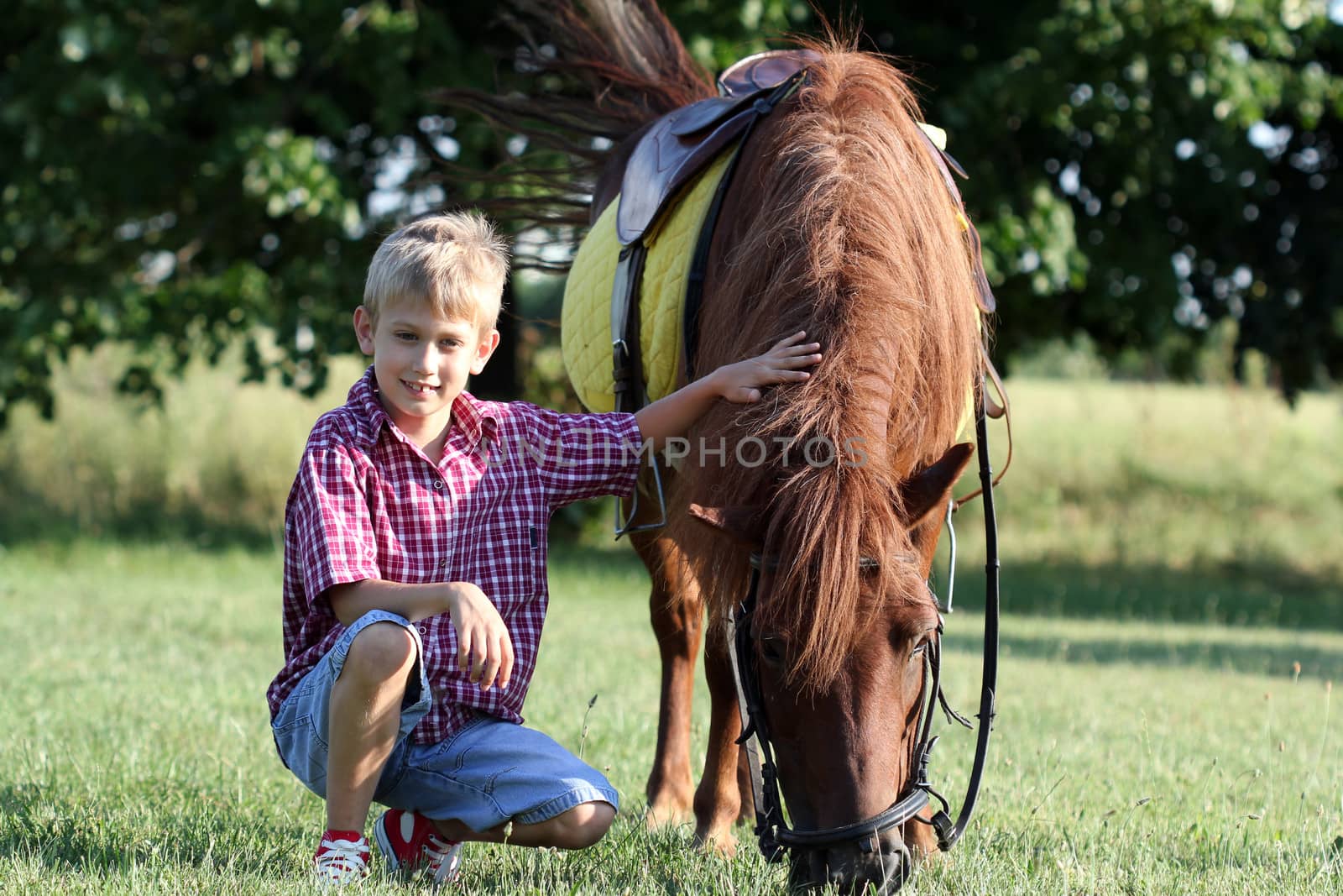 happy boy and pony horse  by goce