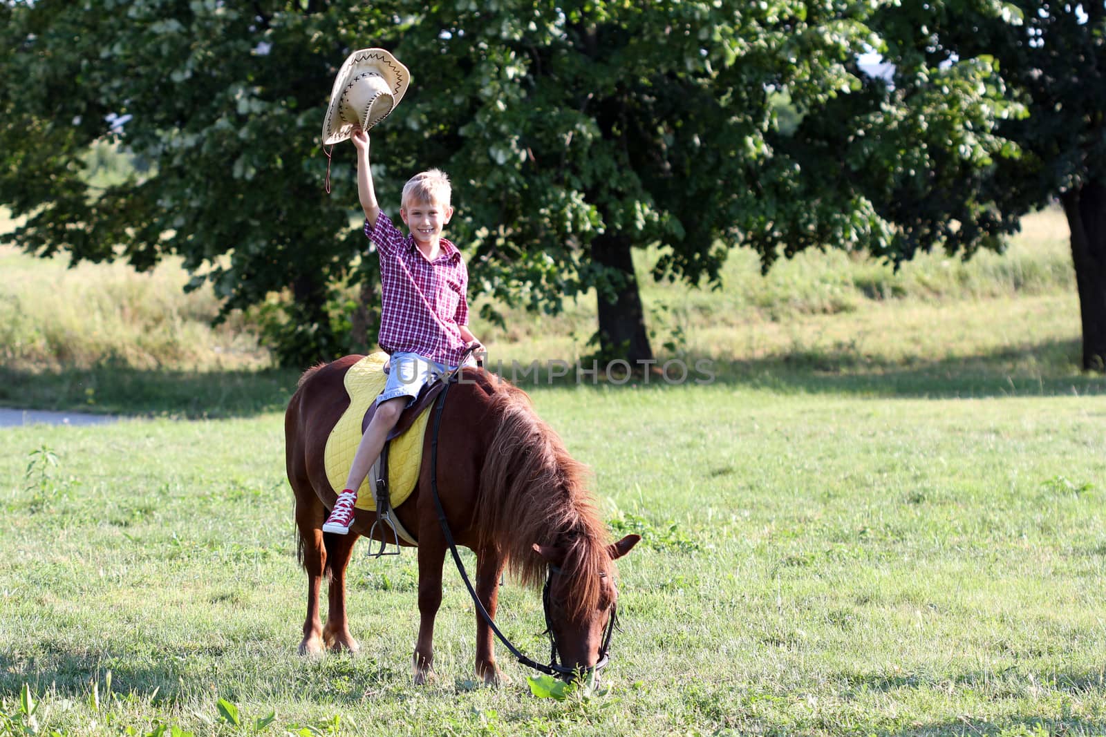 happy boy riding pony horse  by goce