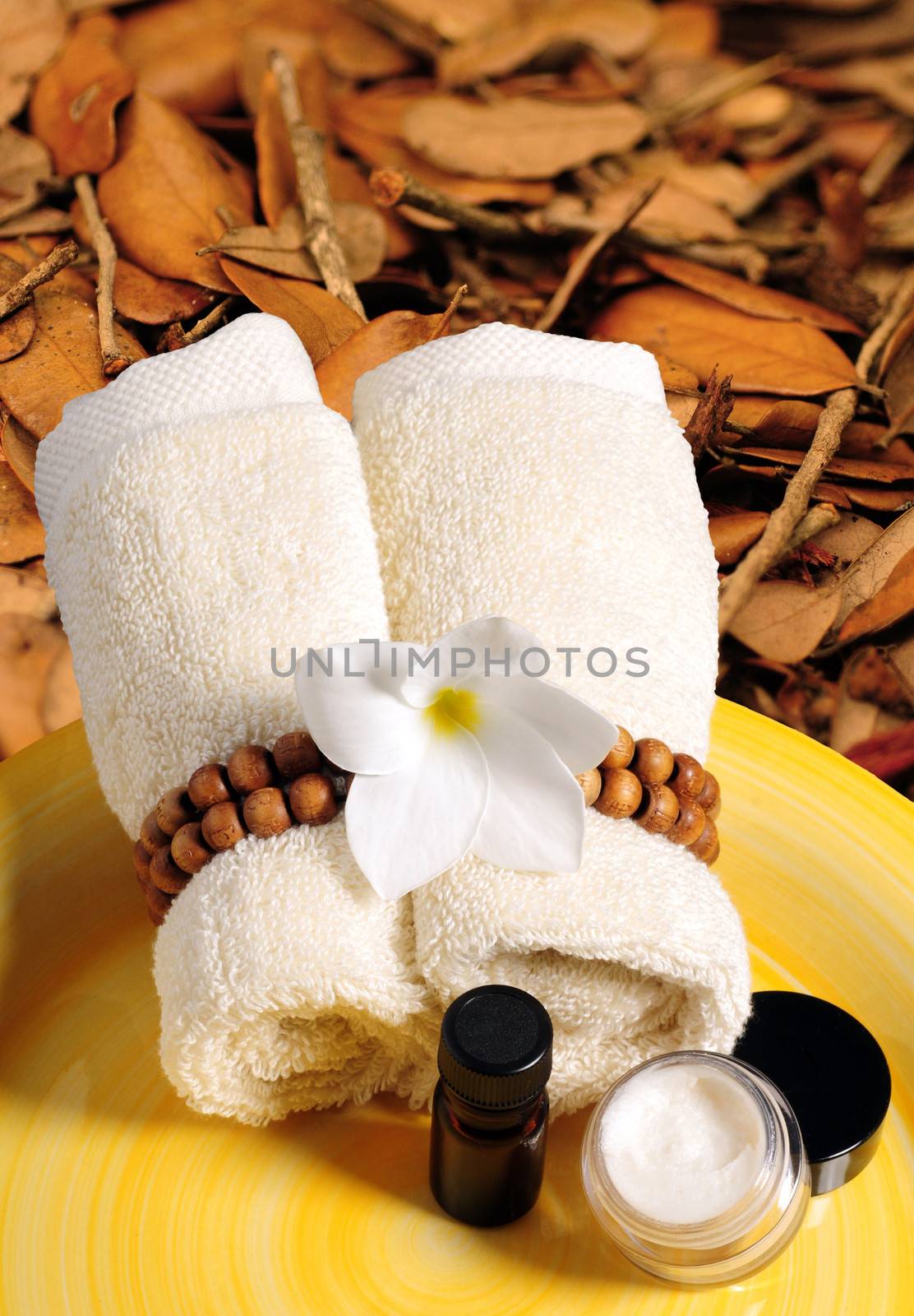 seasonal day spa products in the fall or autumn