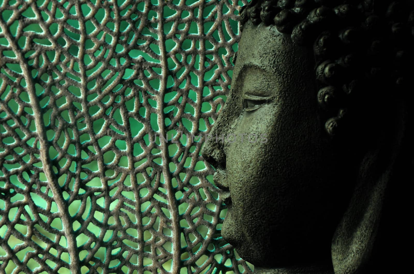 tropical and serene buddha with aquatic background in green