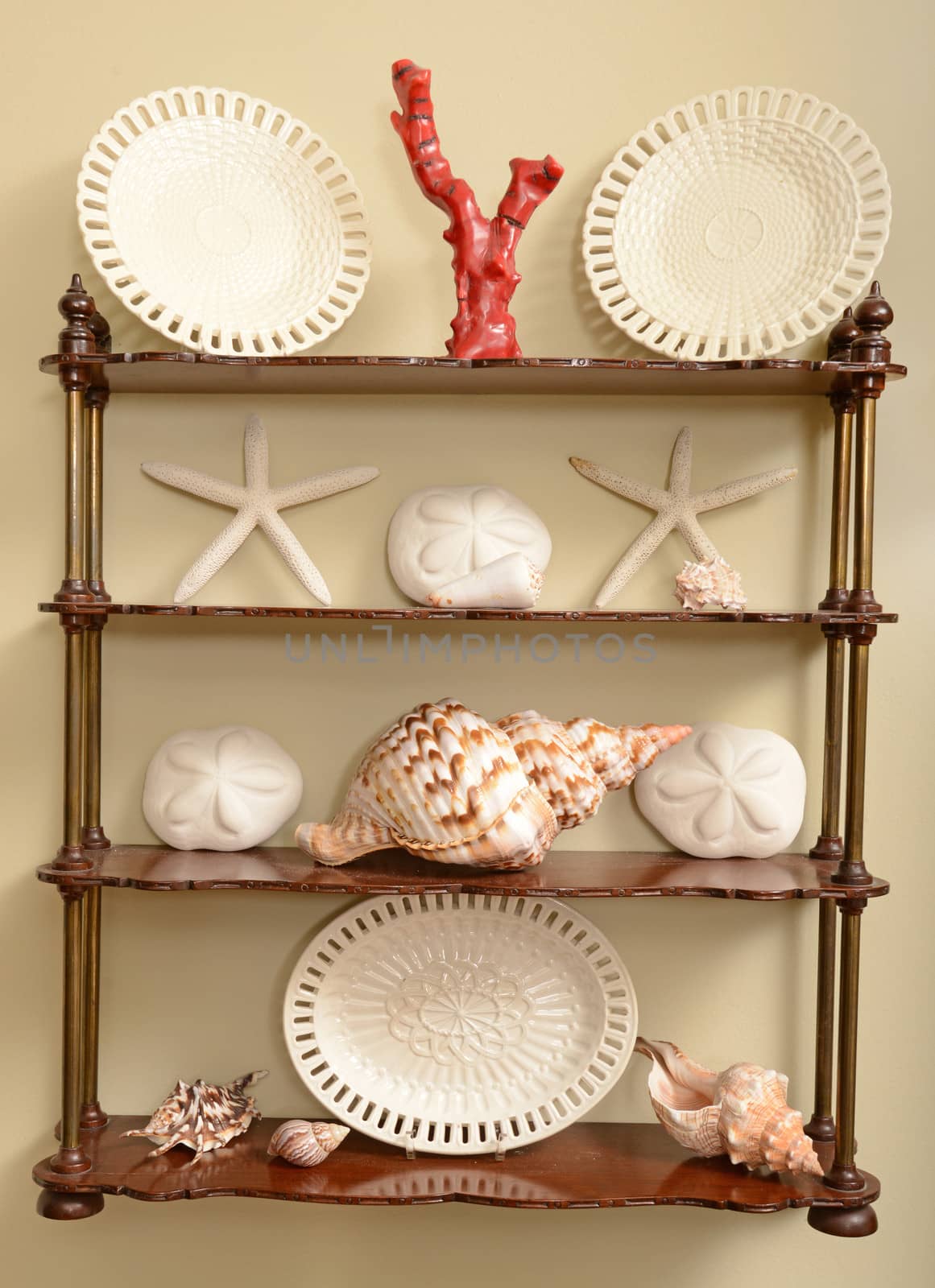 shells and other ocean theme decorations on a shelf for home decor