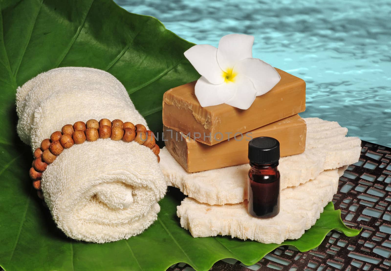 tropical spa products next to ocean or pool in tropical location