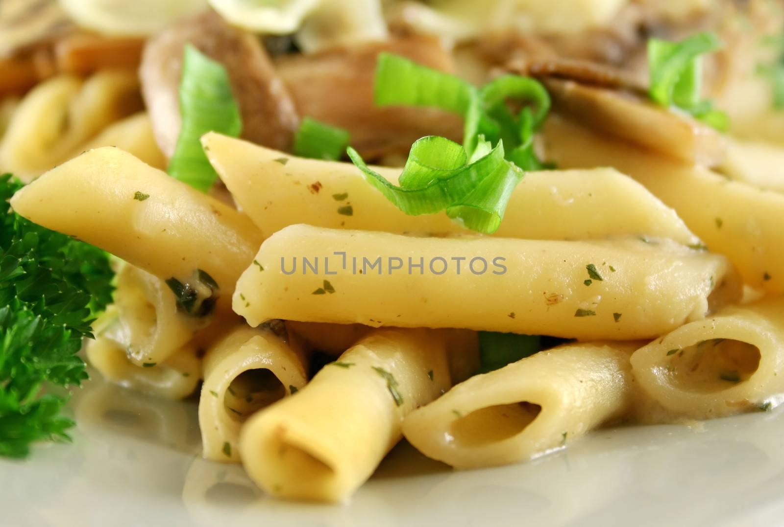 Mushroom Pasta by jabiru