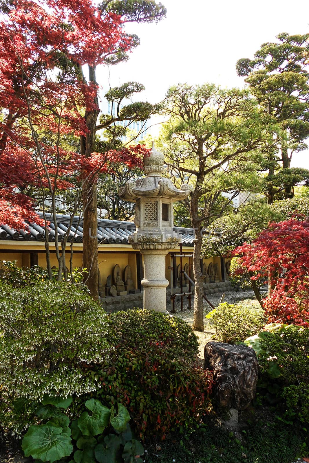 Shinto Temple Shrine in Fukuota Japan