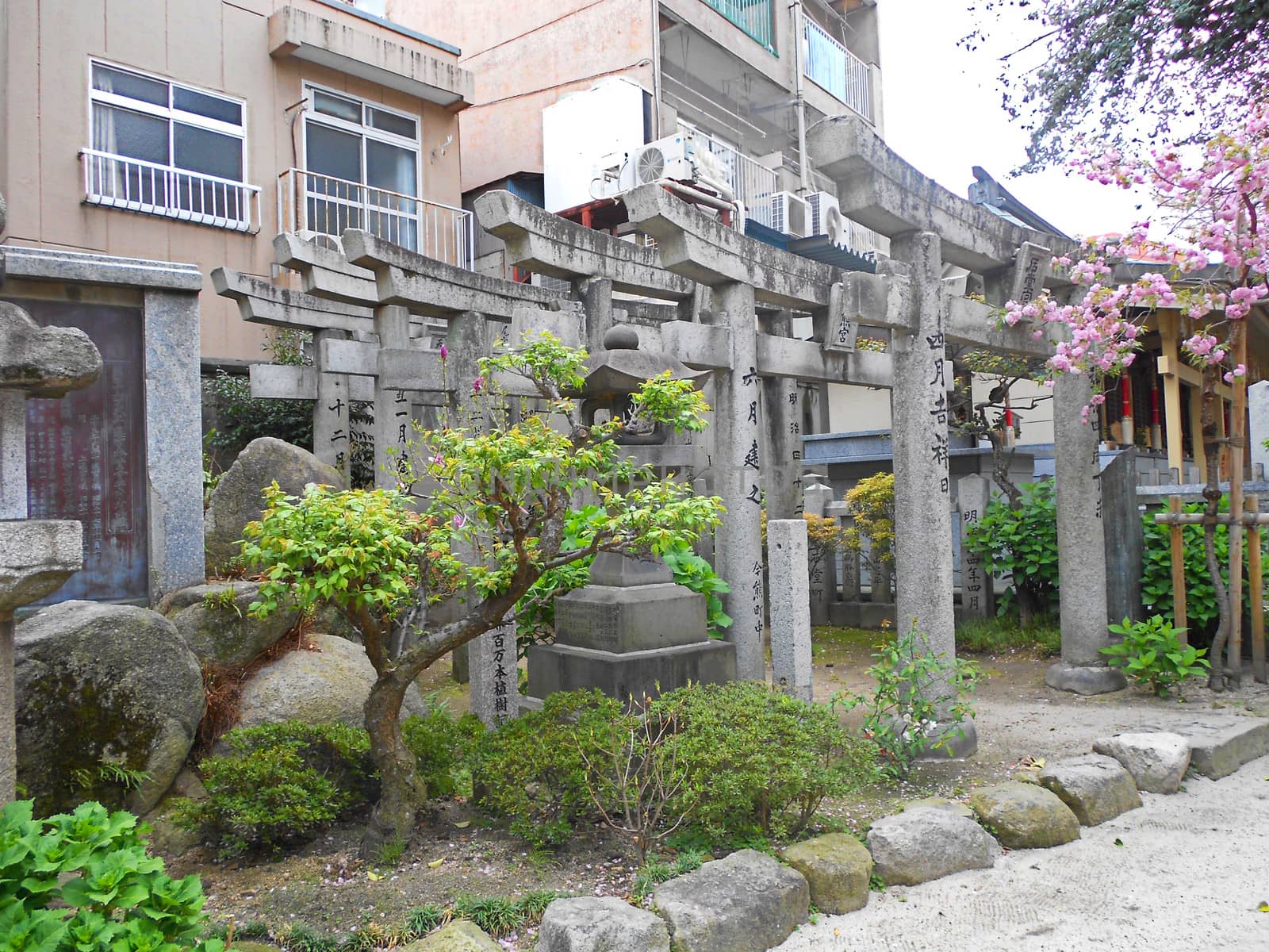 Gates at Shinto Shrine in Fukuoka Japan by duplass