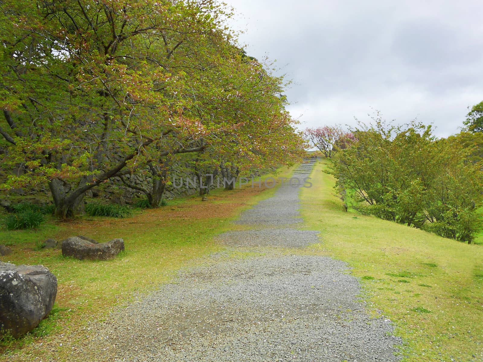 Pathway through hill in Saga Japan. by duplass