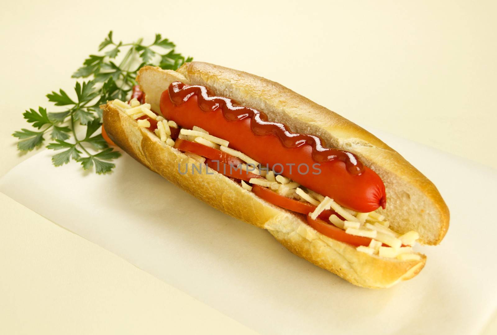 Hot Dog With Cheese by jabiru