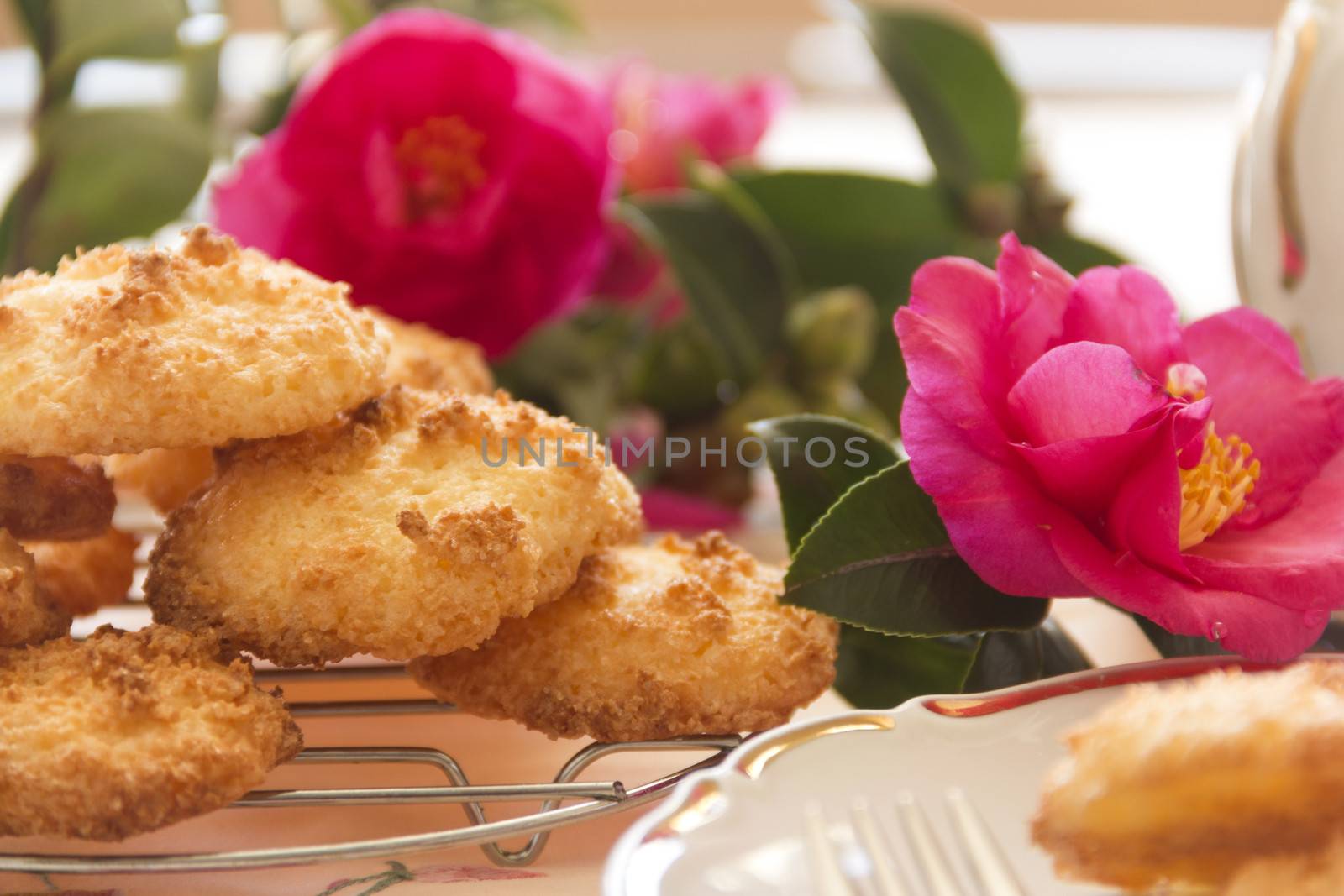 Fresh baked coconut macaroons with camellias in the background ready to serve.