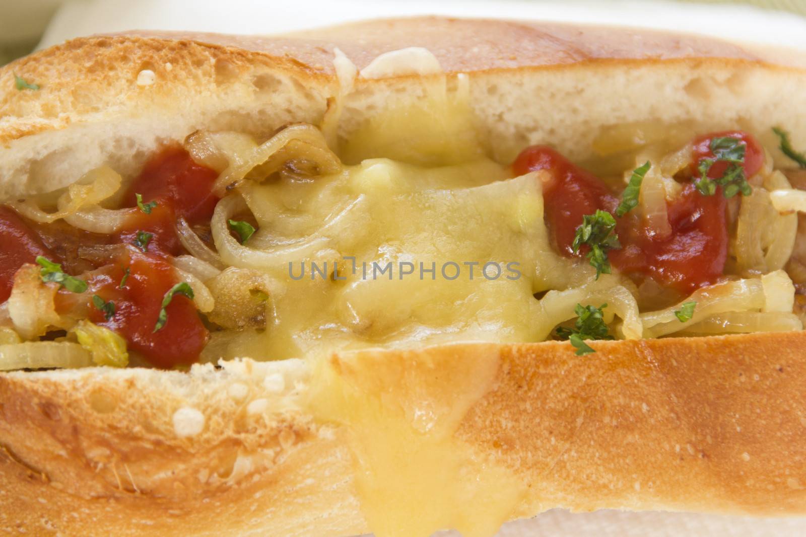 Close up of hot dog with melted cheddar cheese with onion and ketchup.