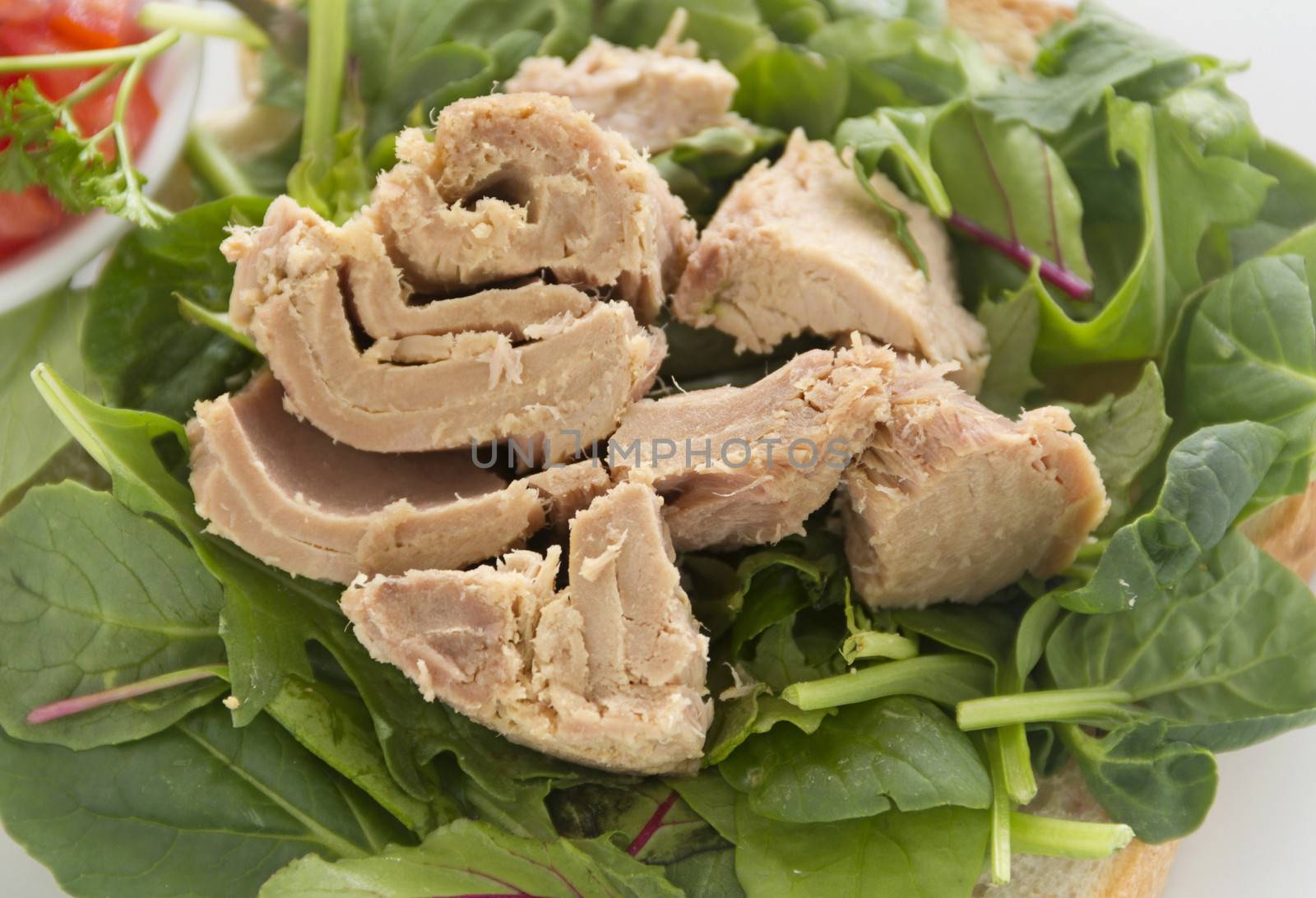 Open Tuna Salad Sandwich by jabiru