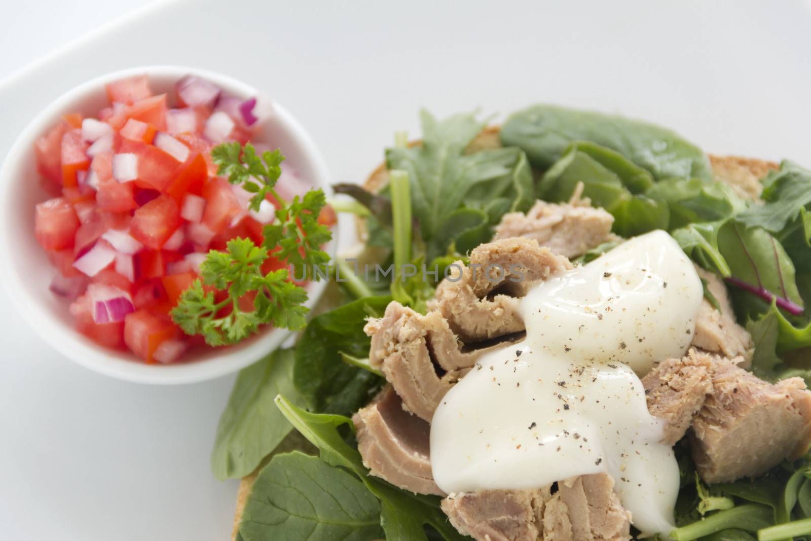 Delicious freshly prepared open tuna salad sandwich with mayo, tomato and spanish onions.
