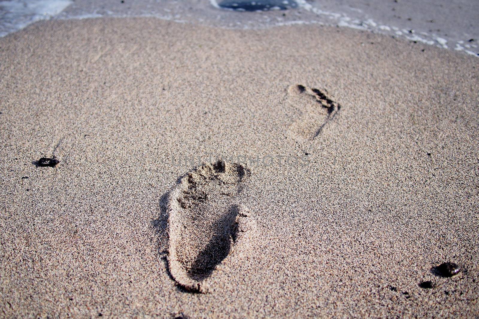 Footprints along the edge of sea