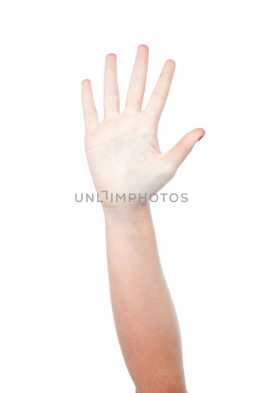 Hand showing number five, white background