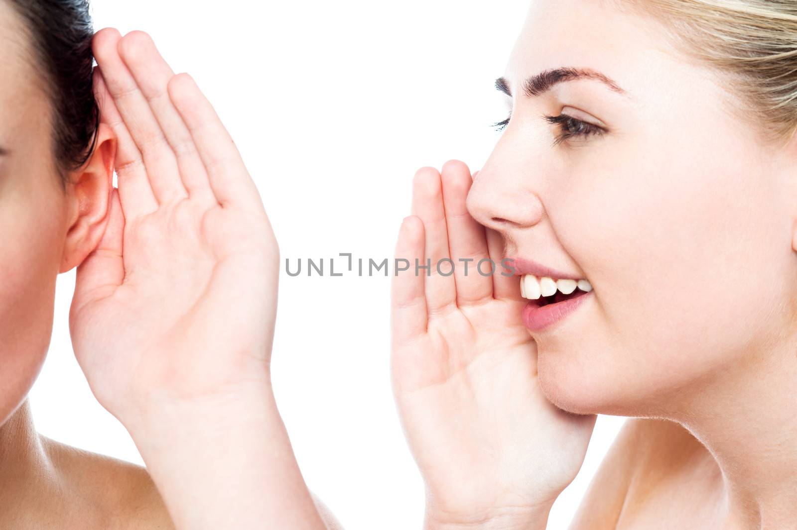 Young girls gossiping some secret among them