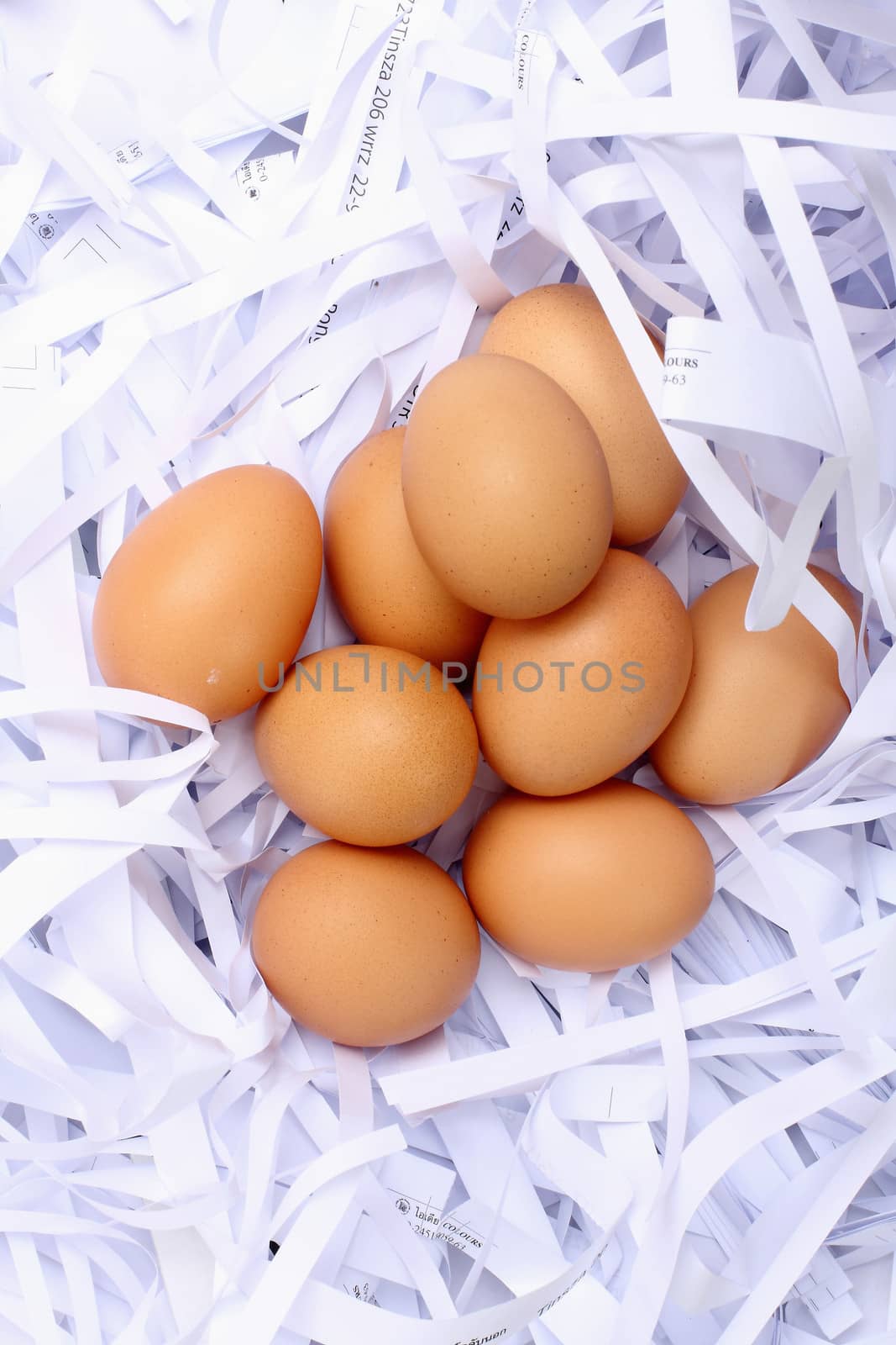 eggs on papers cut background