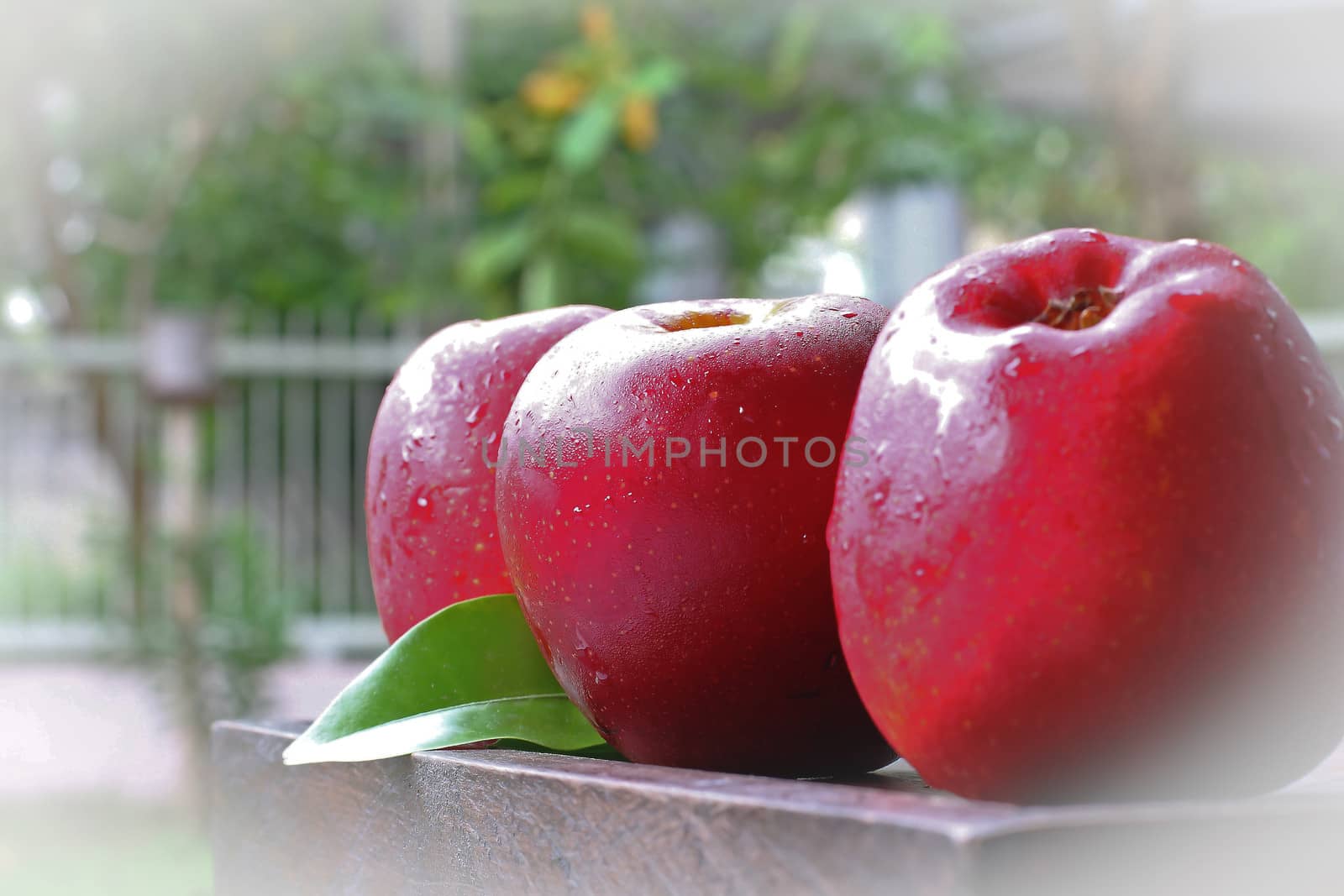 Three apples on wood  by myrainjom01