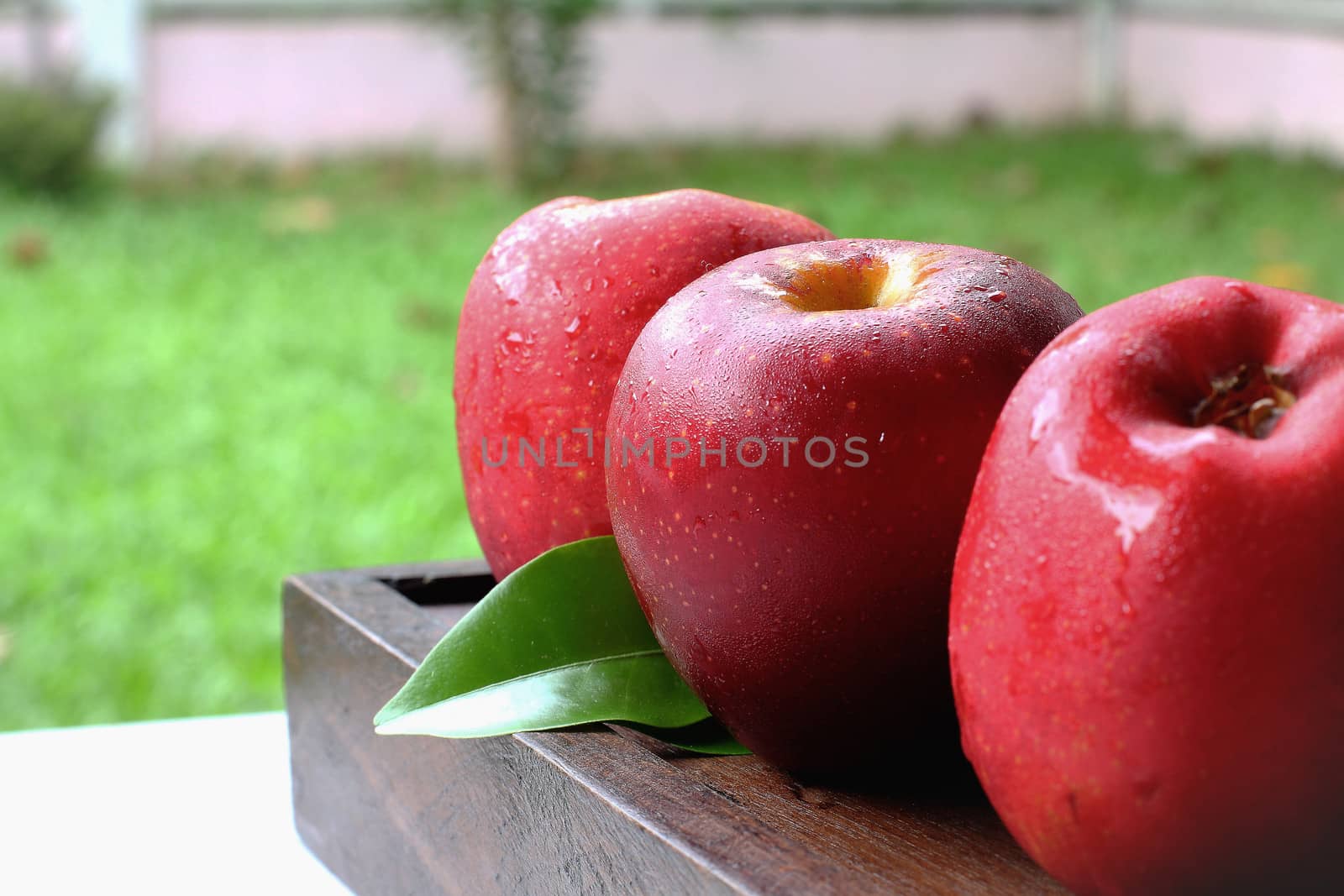 Three apples on wood  by myrainjom01