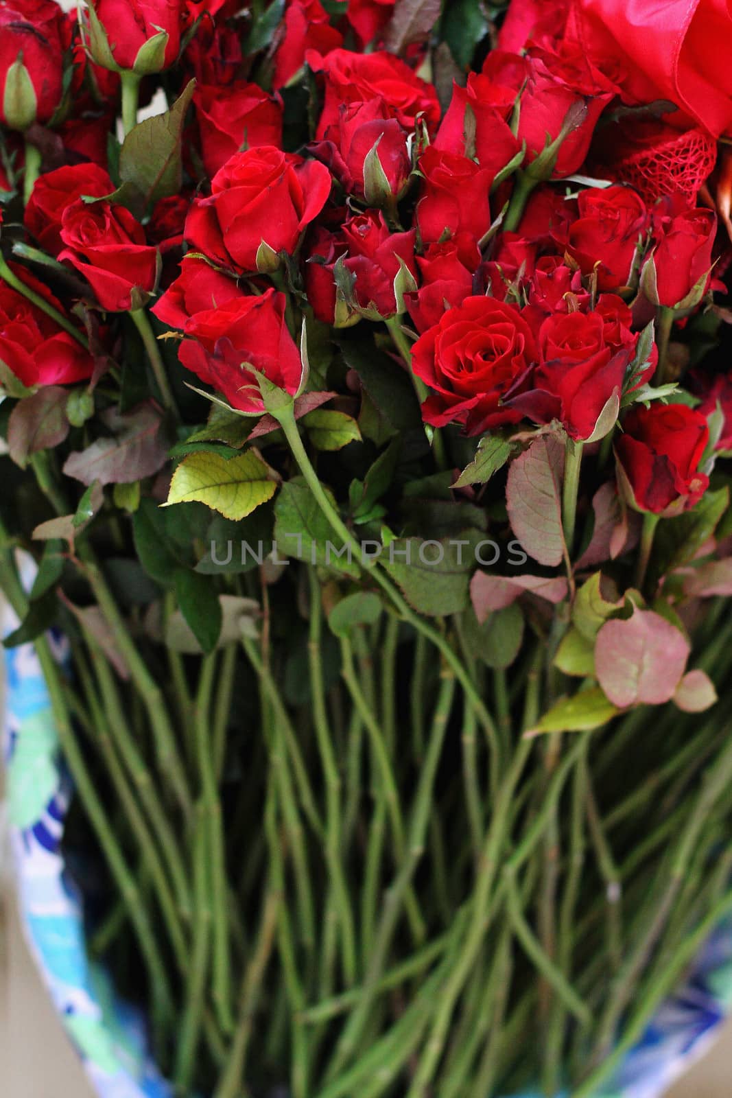 bouquet of a beautiful red roses close-up by myrainjom01