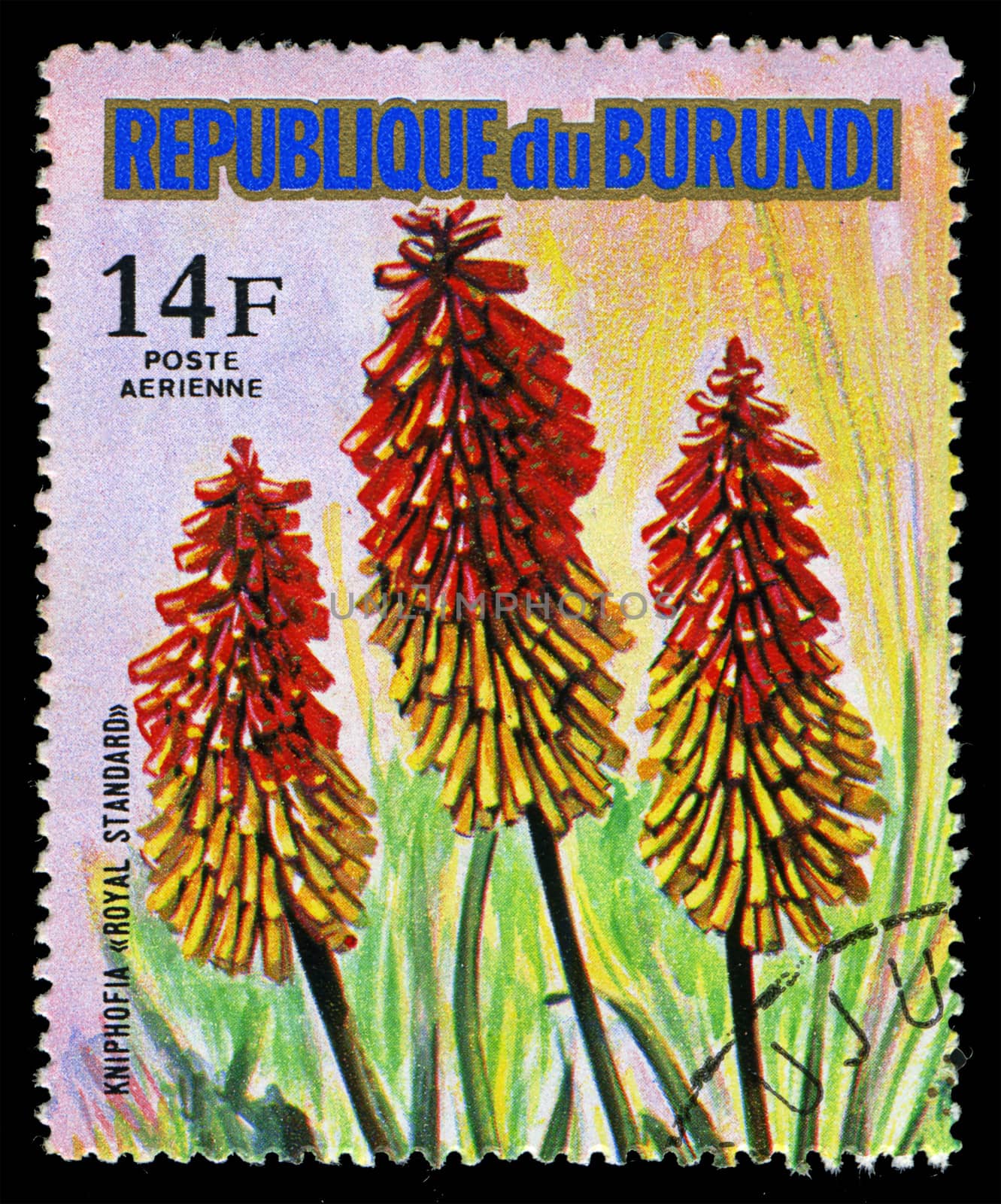 REPUBLIC OF BURUNDI - CIRCA 1974: A stamp printed in Republic of Burundi shows Kniphofia "Royal Standard", series, circa 1974